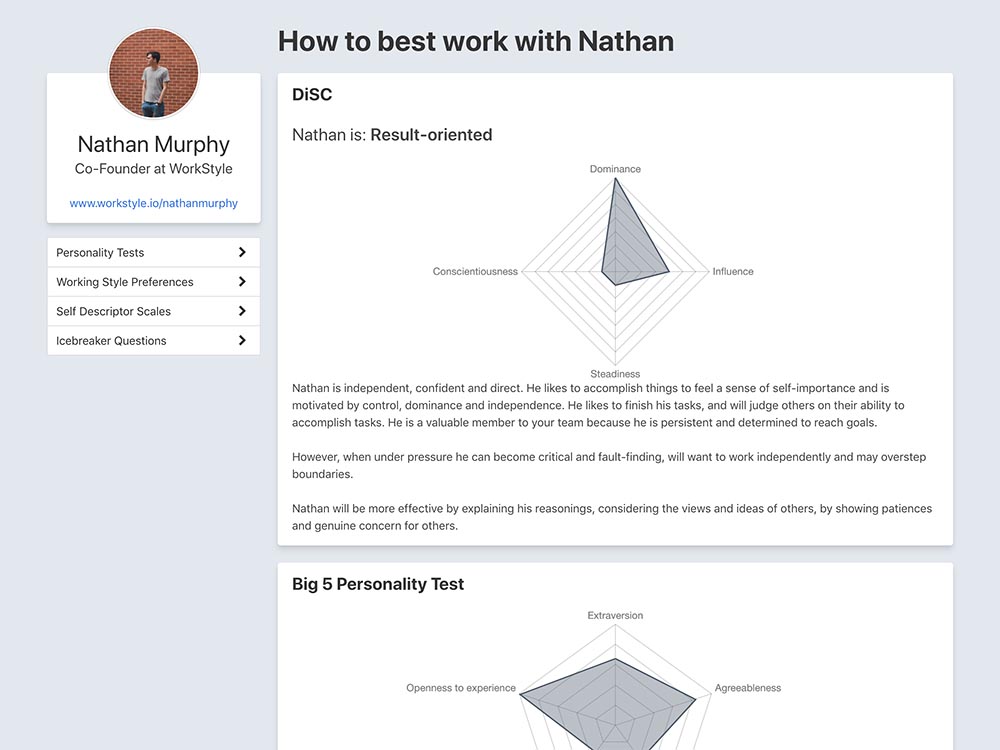 WorkStyle Profile